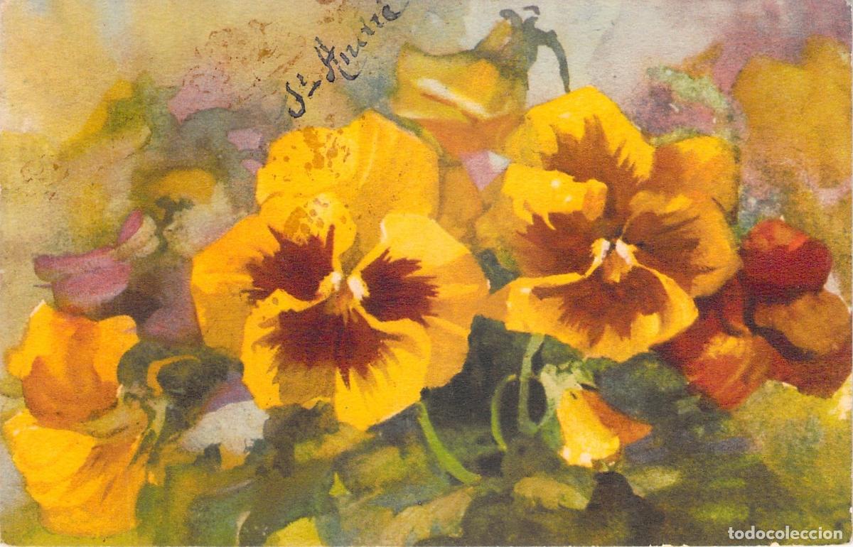 Postales: Postal Art&iacute;stica Ilustrada con Flores de Pensamientos Amarillos