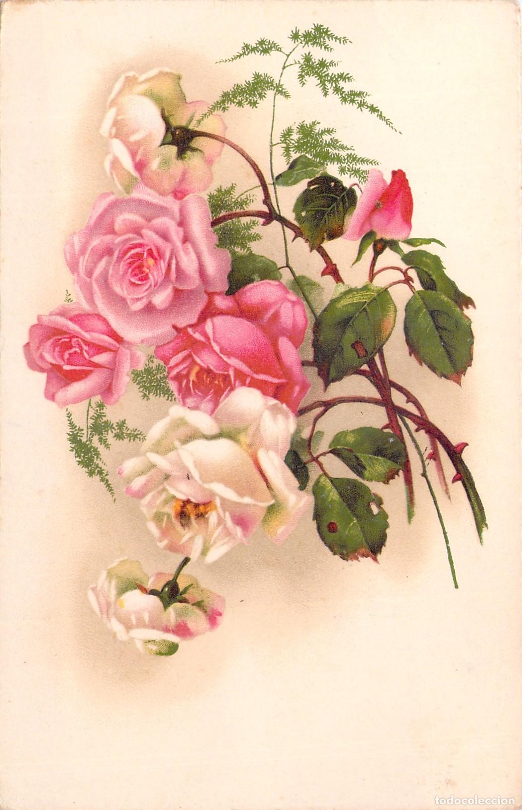 Postales: Postal Ilustrada con Ramo de Rosas Rosas y Blancas