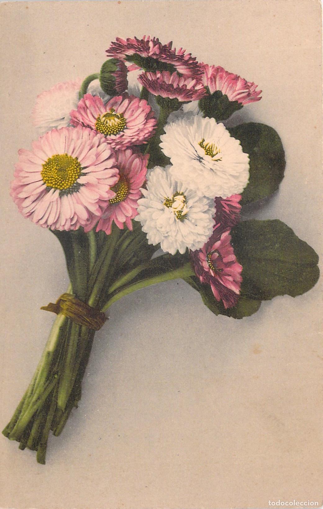 Postales: Postal Ilustrada de Ramo de Margaritas Rosas y Blancas