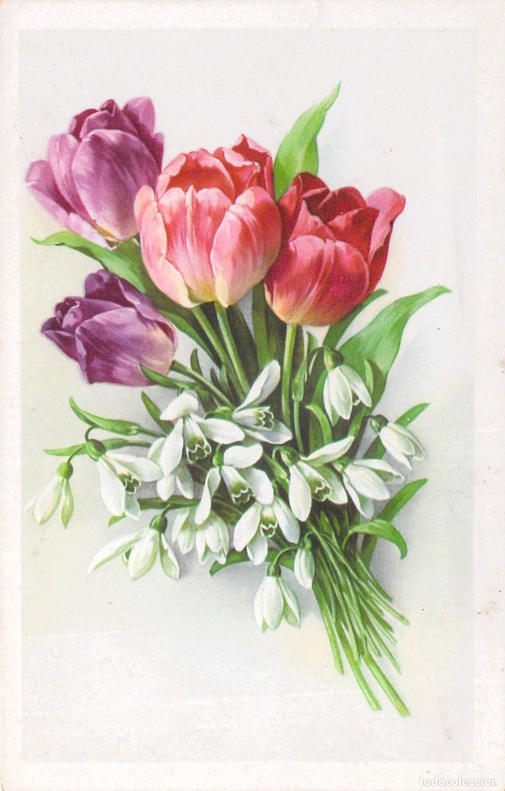 Postales: Postal con Hermoso Ramillete de Tulipanes y Flores Blancas