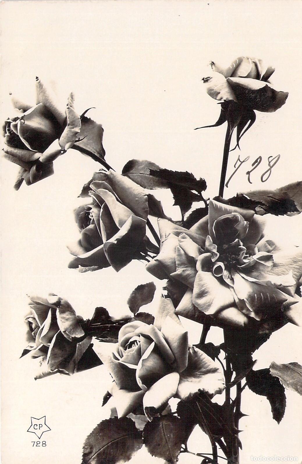 Postales: Postal Antigua de Rosas en Blanco y Negro, Hecha en Francia