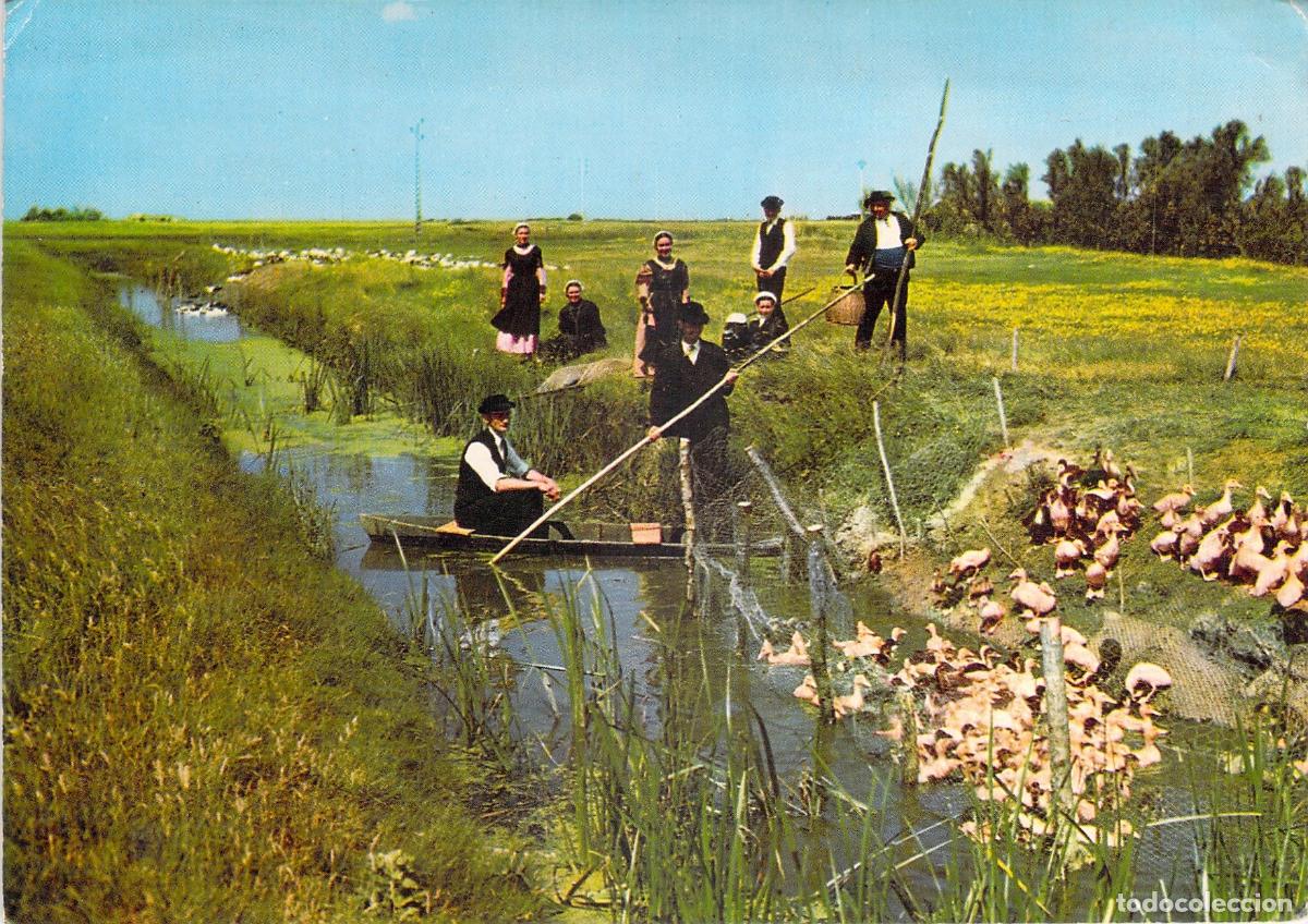 Postales: Postal Pays Maraichin Escena Tradicional con Barca Yole y Patos