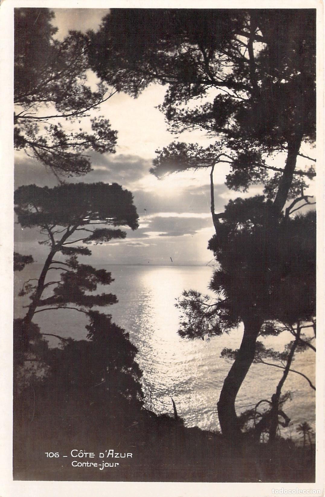 Postcards: Postal de la C&ocirc;te d'Azur en Contraluz con Pinos y Mar