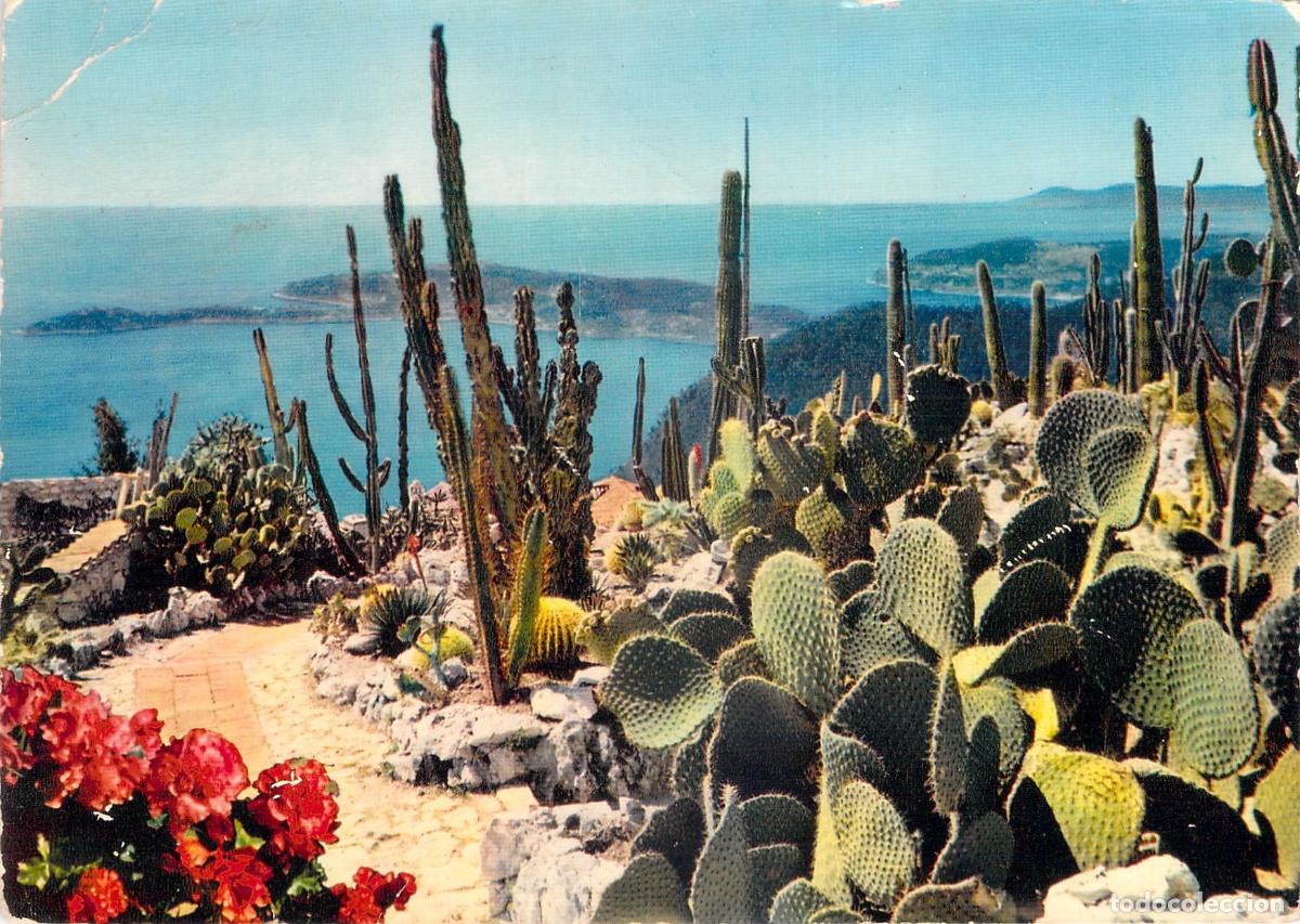 Postkarten: Postal del Jard&iacute;n Ex&oacute;tico de &Egrave;ze con Vistas al Cap-Ferrat