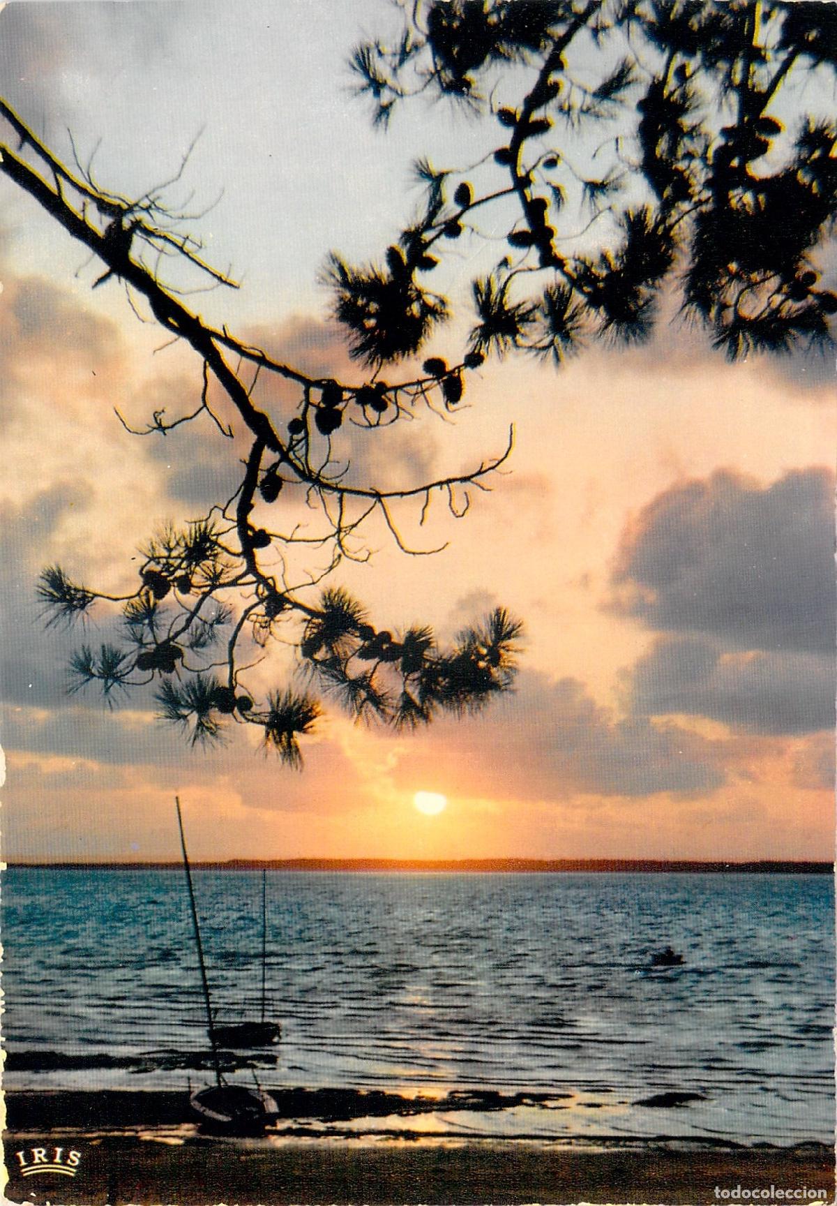 Postkarten: Postal Atardecer en la Costa Atl&aacute;ntica Francesa - Th&eacute;ojac Mexichrome