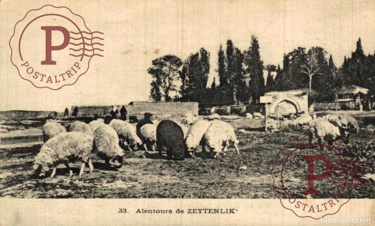 Postales: GRECIA. GREECE. ALENTOURS DE ZEYTENLIK