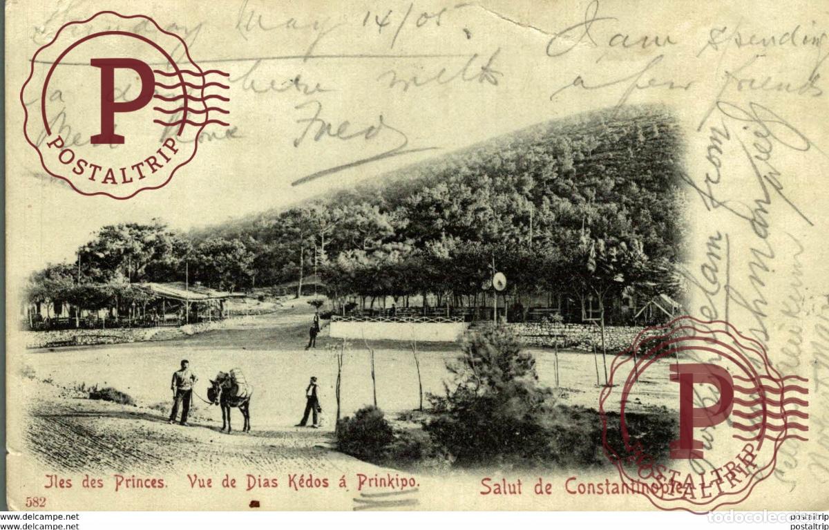 Postales: Constantinople Istanbul CONSTANTINOPLE - SALUT DE - Iles des Princes - Vue de Dias K&eacute;dos &agrave; Prinki