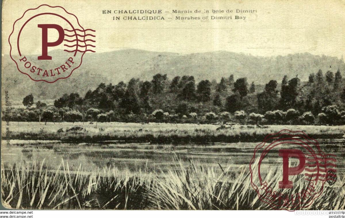 Postales: EN CHALCIDIQUE MARAIS DE LA BAIE DE DIMITRI IN CHALCIDICA MARSHES OF BAY Turquie TURQUIA