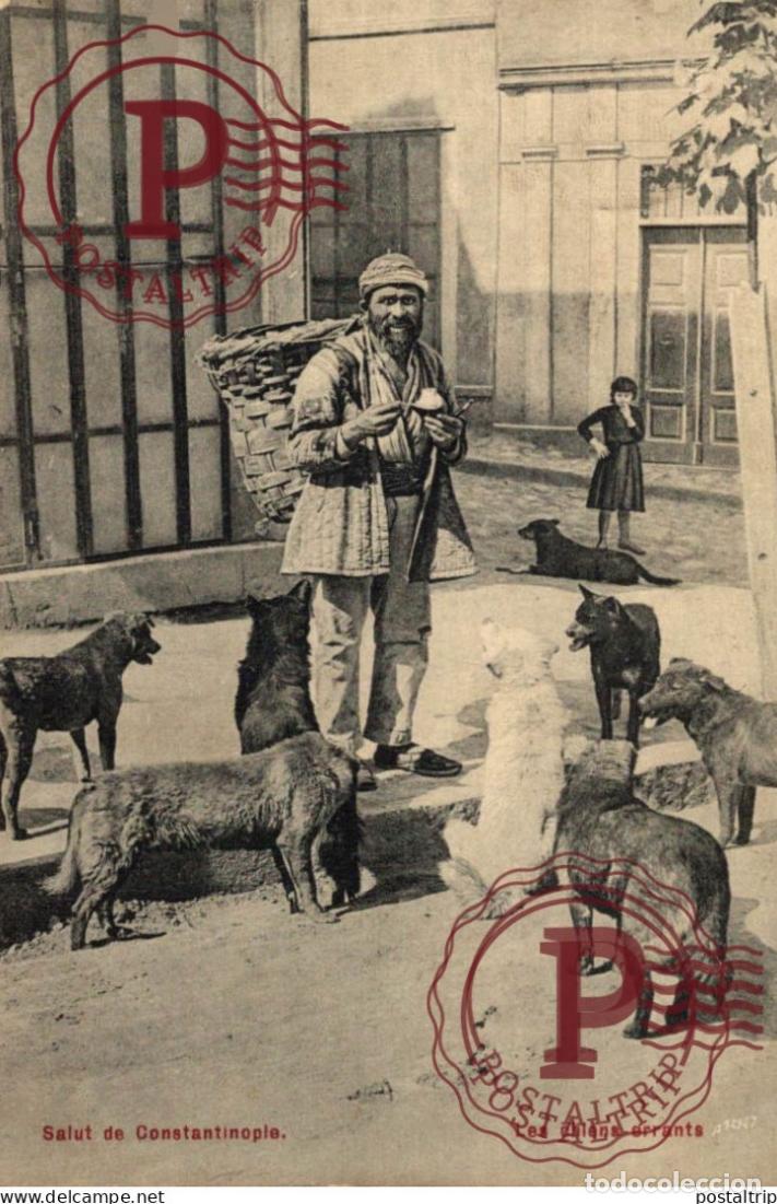 Postales: TURQUIA. TURQUIE. Salut de Constantinople - les chiens errants