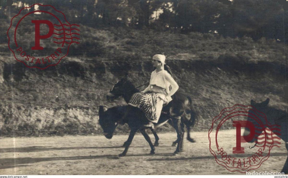 Postales: TURQUIA. TURQUIE. RPPC. BURRO. DONKEY. ANE