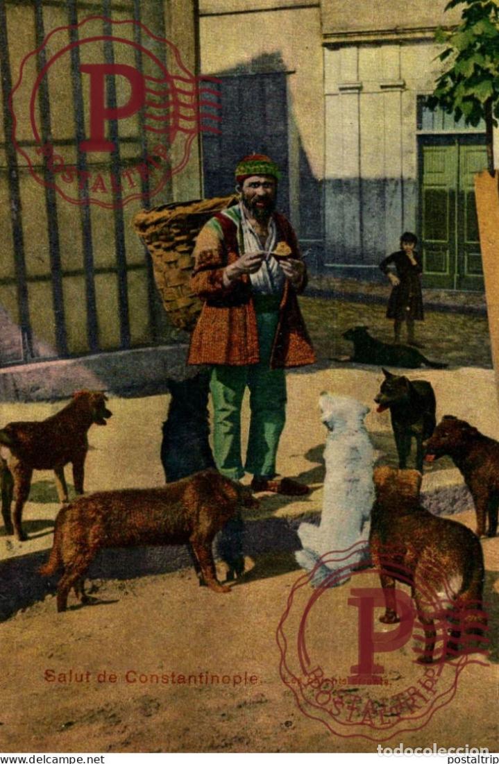 Postales: TURQUIA. TURQUIE. SALUT DE CONSTANTINOPLE. Les Chients errants