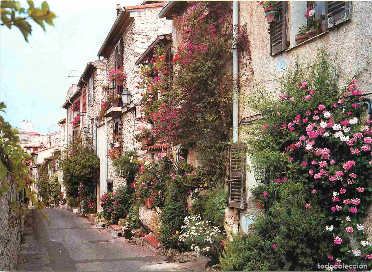 Postkarten: Francia - Carte Postale - 06 - Antibes - La rue du haut castelet - Fleurs - CPM - Voir Scans Recto-V