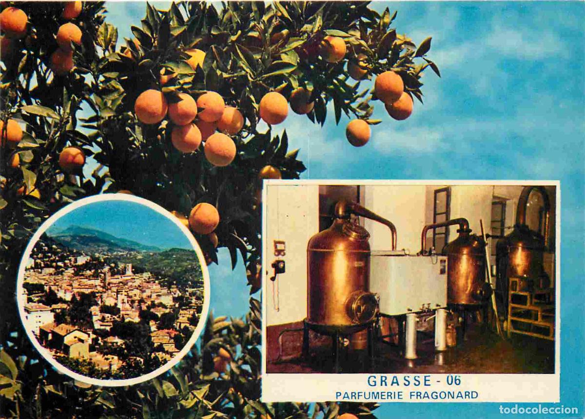 Postcards: Francia - Carte Postale - 06 - Grasse - Cit&eacute; des Fleurs et des Parfums Distillation de l'oranger &agrave; l