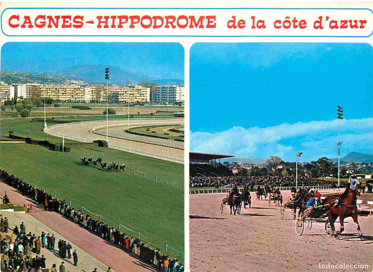 Postcards: Francia - Carte Postale - 06 - Cagnes - L'hippodrome de la c&ocirc;te d'azur - Multivues - Chevaux - CPM -