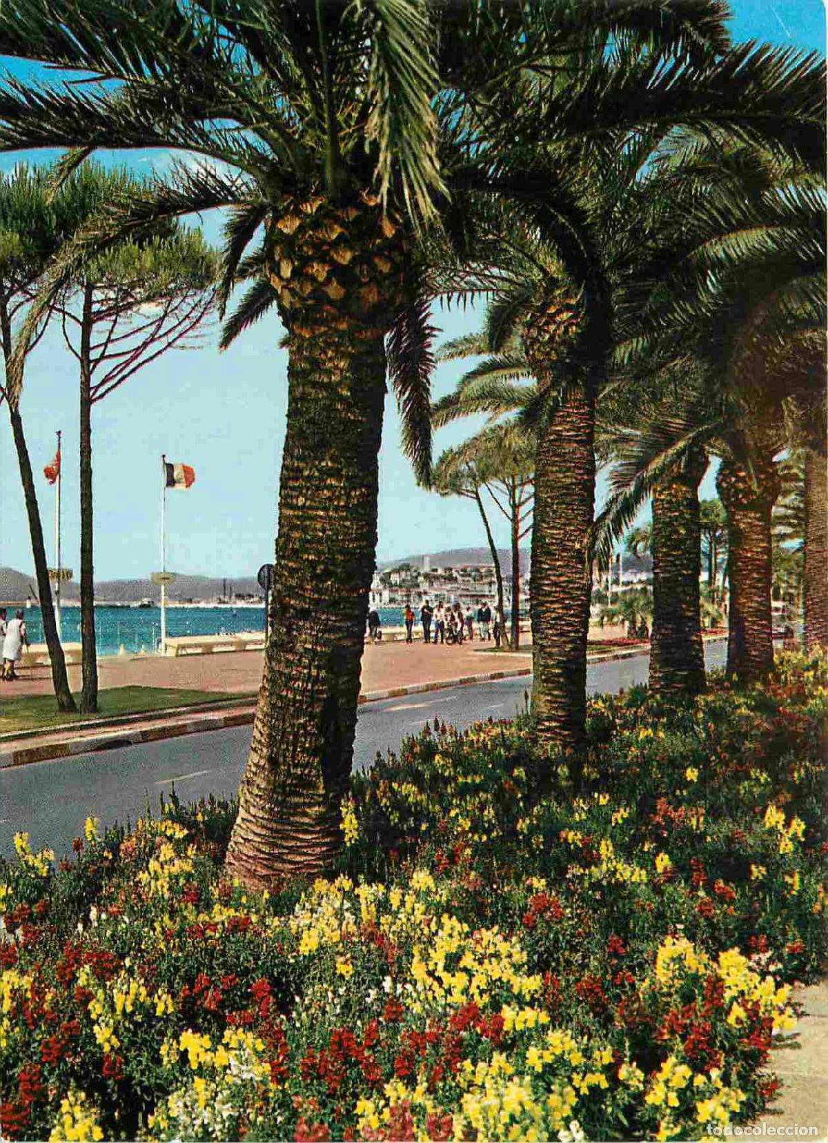 Postcards: Francia - Carte Postale - 06 - Cannes - La croisette - CPM - Voir Scans Recto-Verso