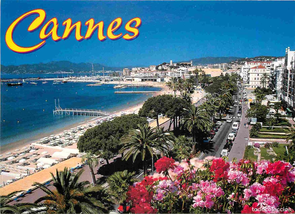 Postkarten: Francia - Carte Postale - 06 - Cannes - Vue g&eacute;n&eacute;rale sur la baie - CPM - Voir Scans Recto-Verso
