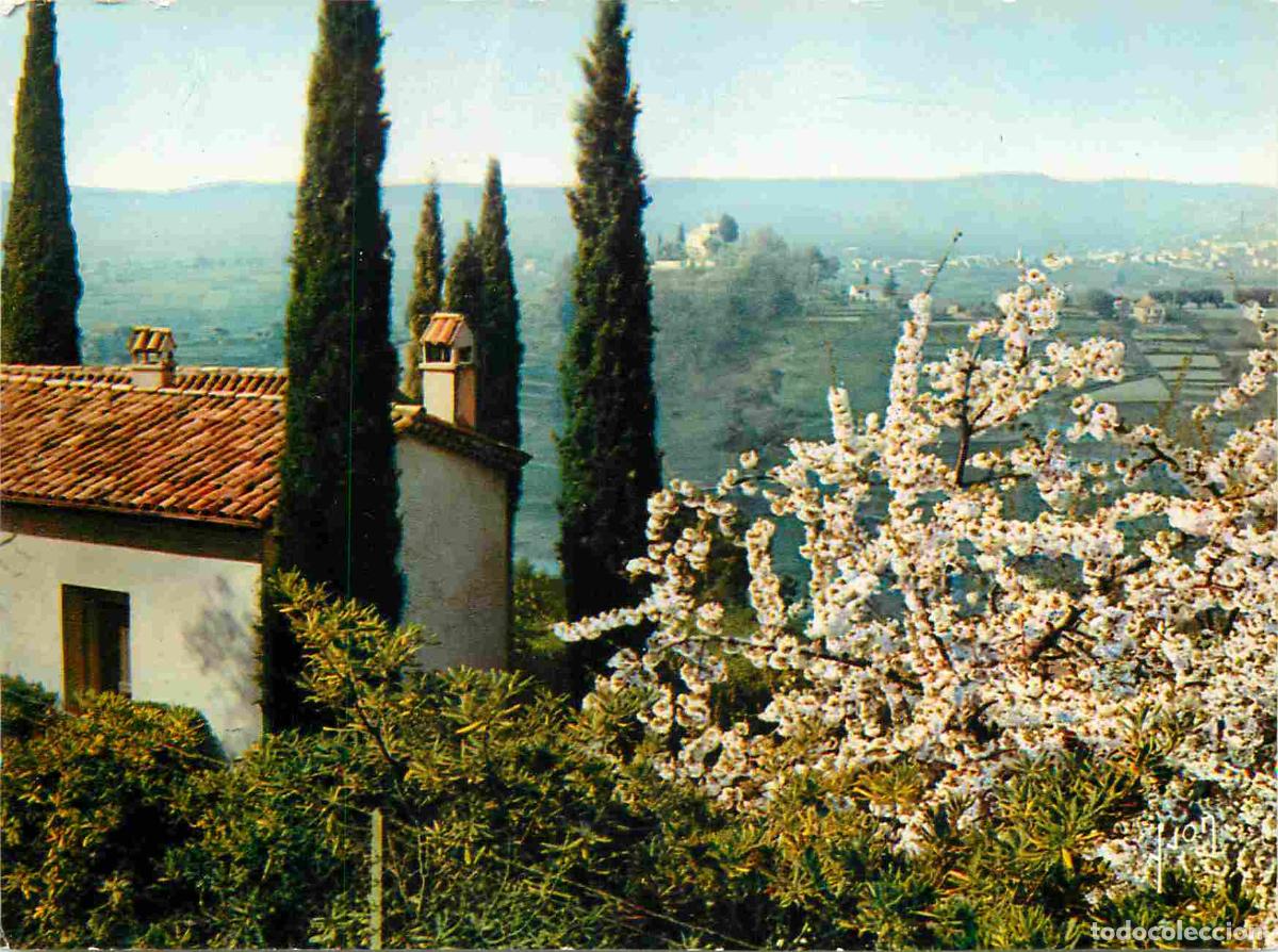 Cartes Postales: Francia - Carte Postale - 06 - Saint-paul - Paysage proven&ccedil;al aux abords - CPM - Voir Scans Recto-Ve