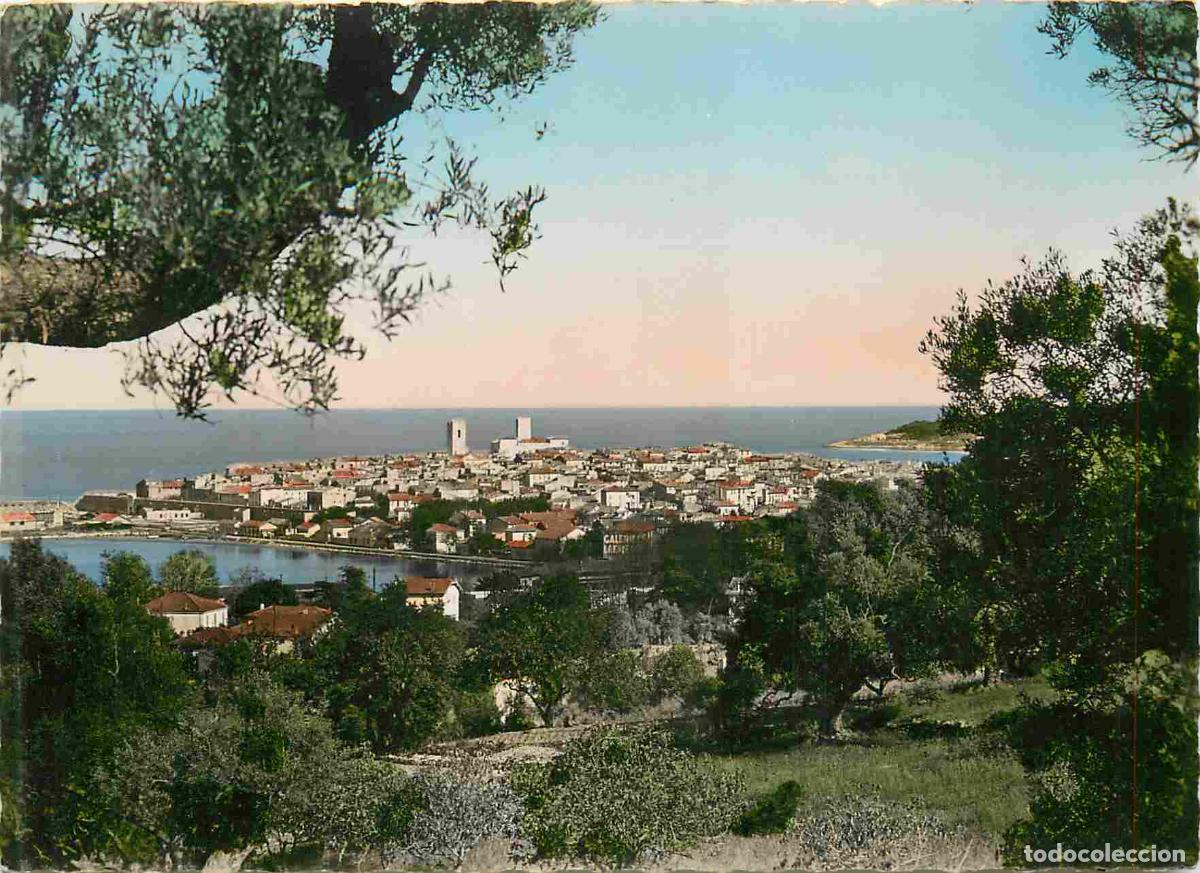 Cartes Postales: Francia - Carte Postale - 06 - Antibes - Vue g&eacute;n&eacute;rale &agrave; travers les oliviers - Mention Photographie