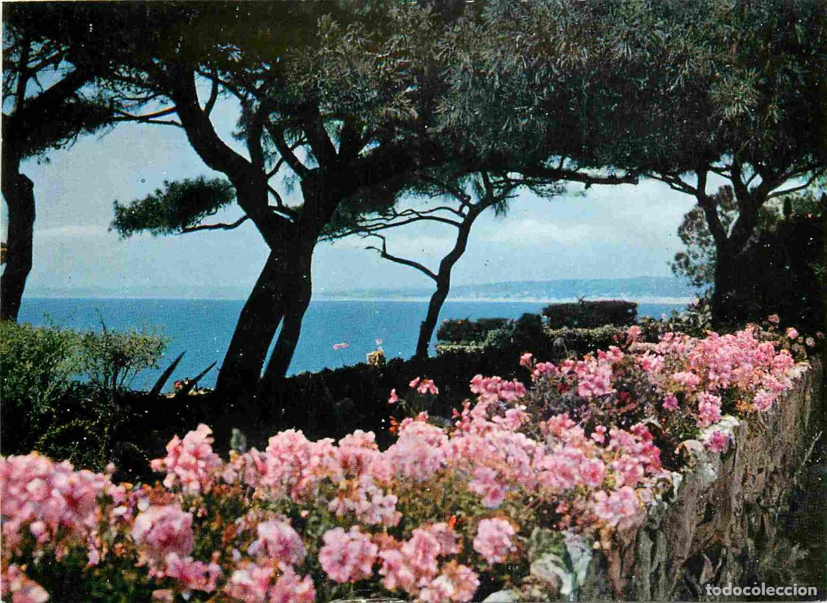 Cartes Postales: Francia - Carte Postale - 06 - Cap ferrat - Jardins au Cap-Ferrat - CPM - Voir Scans Recto-Verso