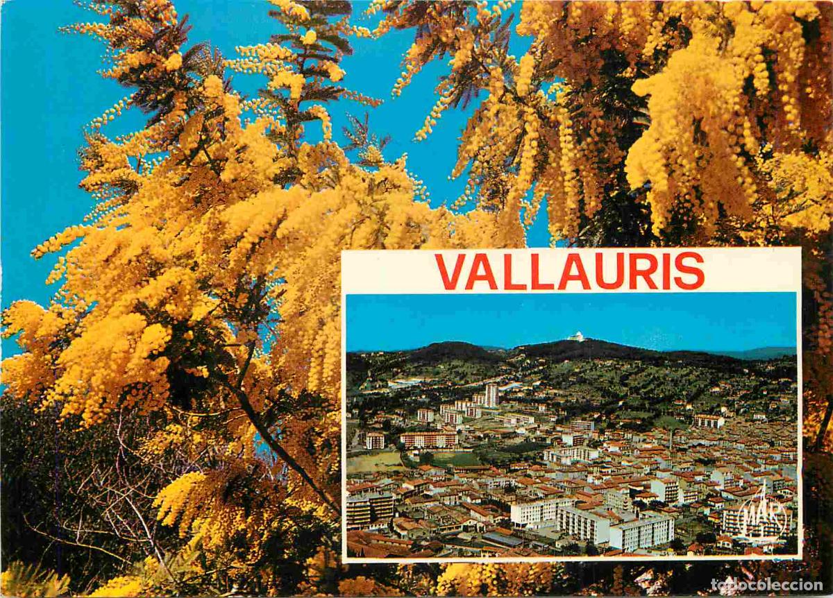 Postales: Francia - Carte Postale - 06 - Vallauris - Souvenir de Vallauris - CPM - Voir Scans Recto-Verso
