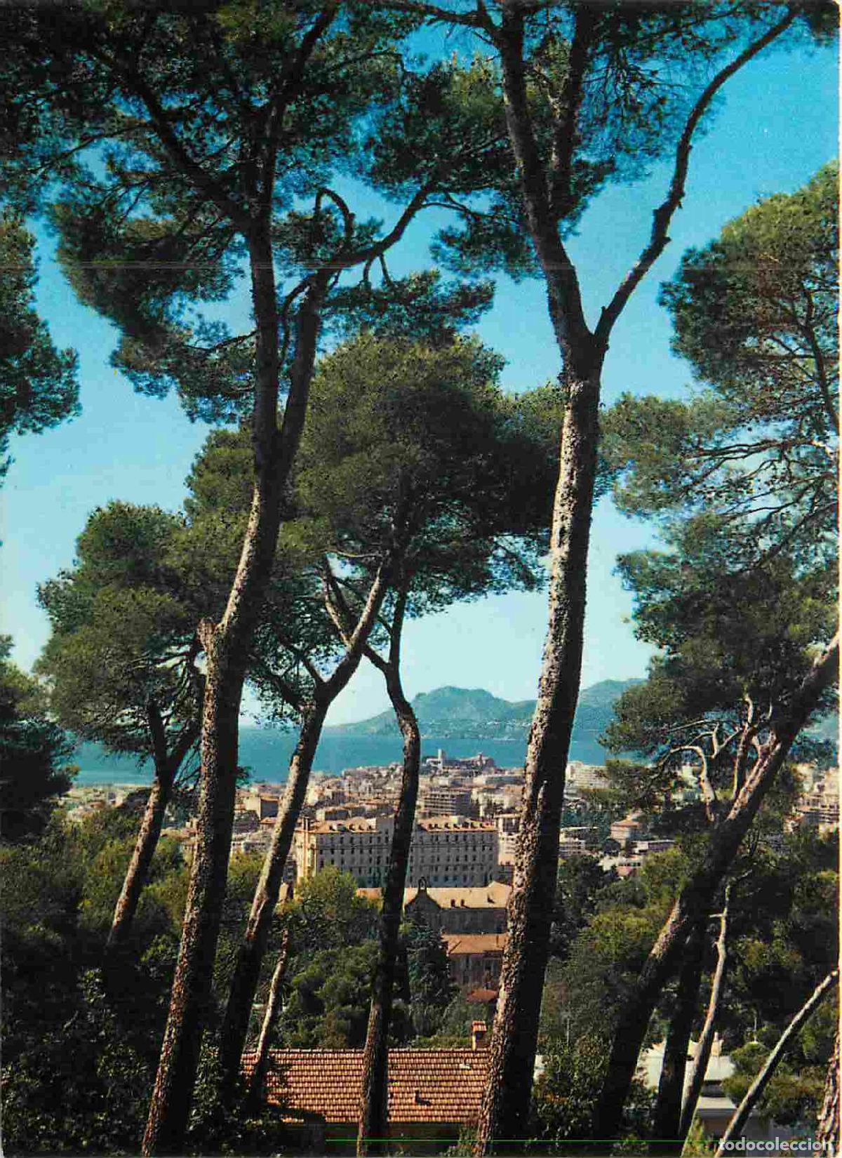Postcards: Francia - Carte Postale - 06 - Cannes - Vue sur la ville &agrave; travers les pins - CPM - Voir Scans Recto