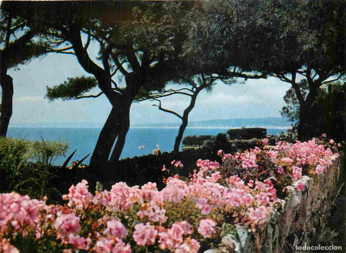 Cartes Postales: Francia - Carte Postale - 06 - Saint-jean-cap-ferrat - Jardins au cap-ferrat - Fleurs - CPM - Voir S