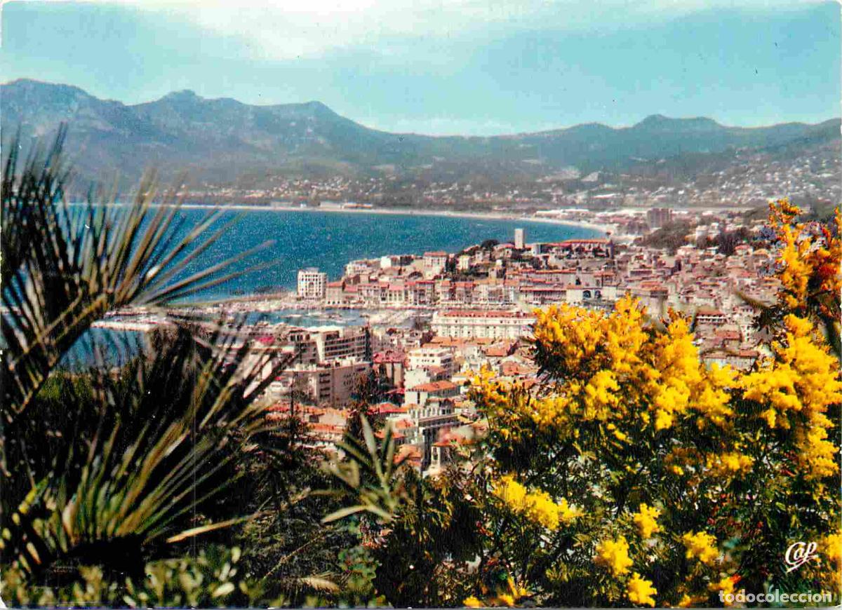 Postais: Francia - Carte Postale - 06 - Cannes - echapp&eacute;e sur la ville et la chaine de l est&eacute;rel - CPM - Voir