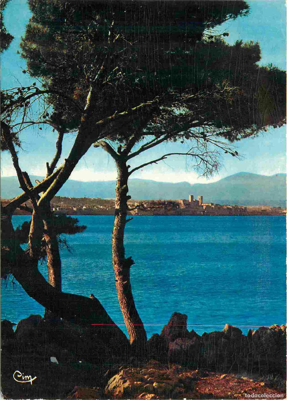Postcards: Francia - Carte Postale - 06 - Antibes - Echapp&eacute;e sur la ville &agrave; travers les pins - CPM - Voir Scans