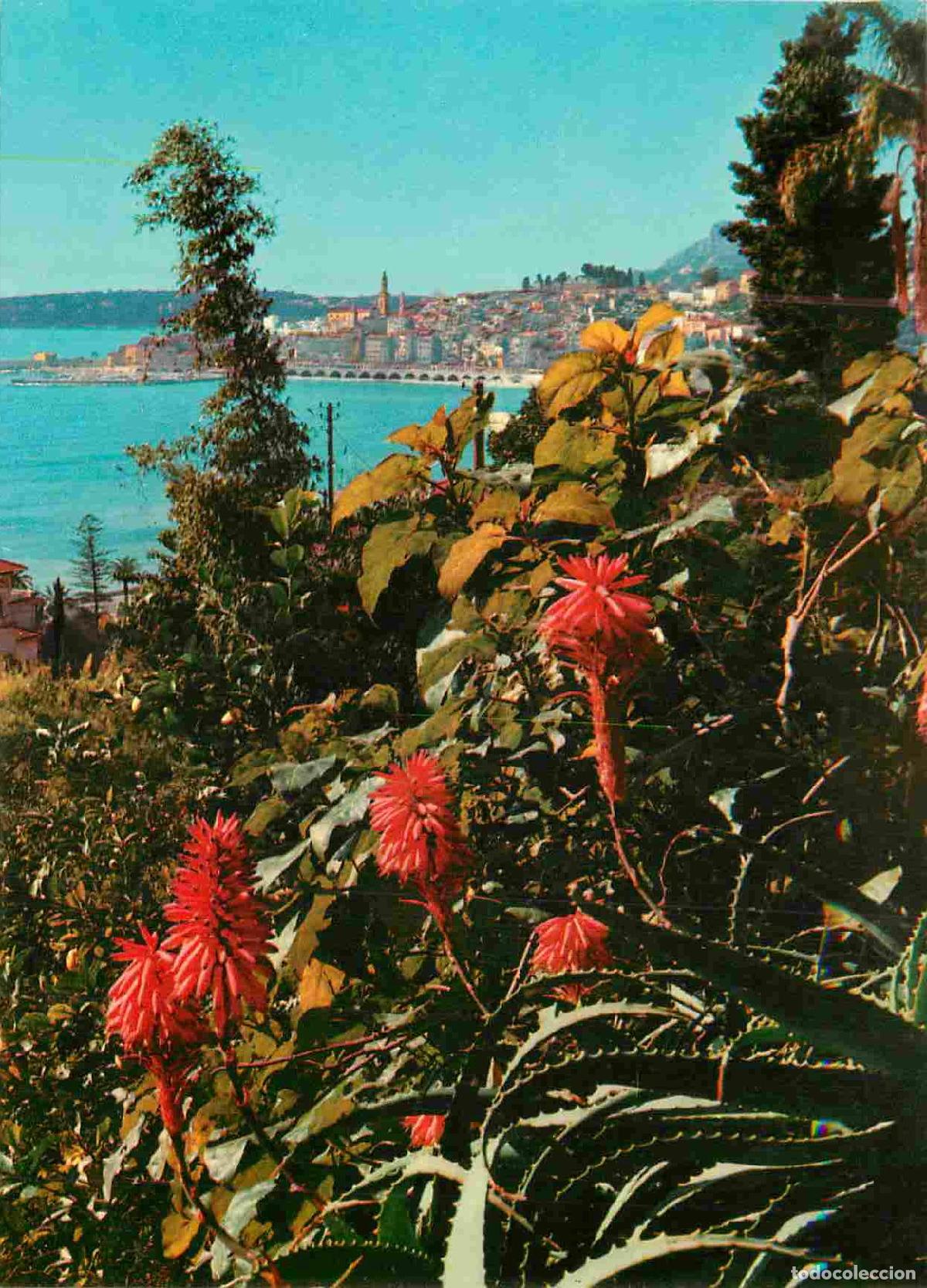 Postales: Francia - Carte Postale - 06 - Menton - Sa v&eacute;g&eacute;tation exotique vue g&eacute;n&eacute;rale - CPM - Voir Scans Recto