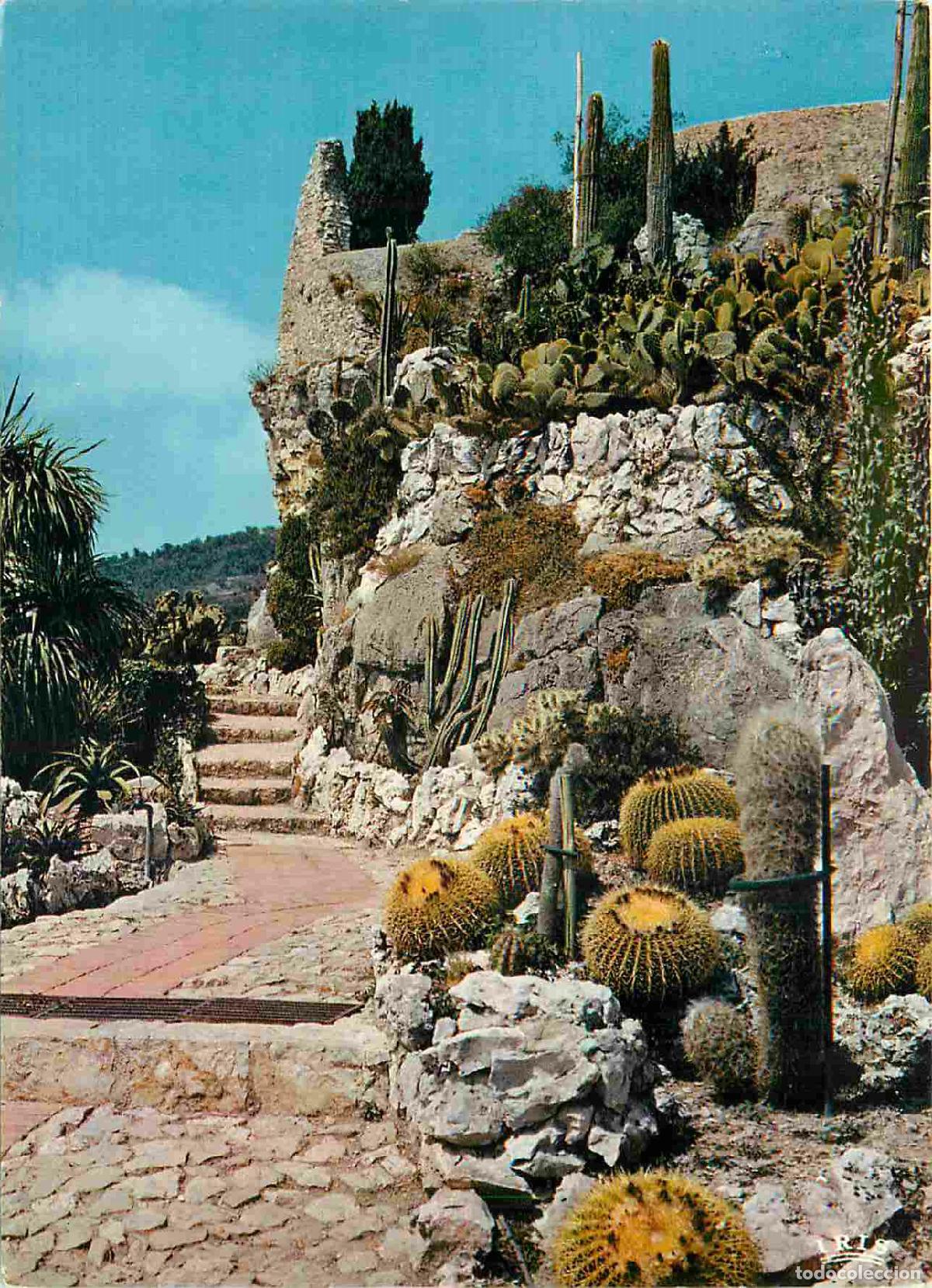 Postcards: Francia - Carte Postale - 06 - Eze-village - Ses jardins exotiques - CPM - Voir Scans Recto-Verso