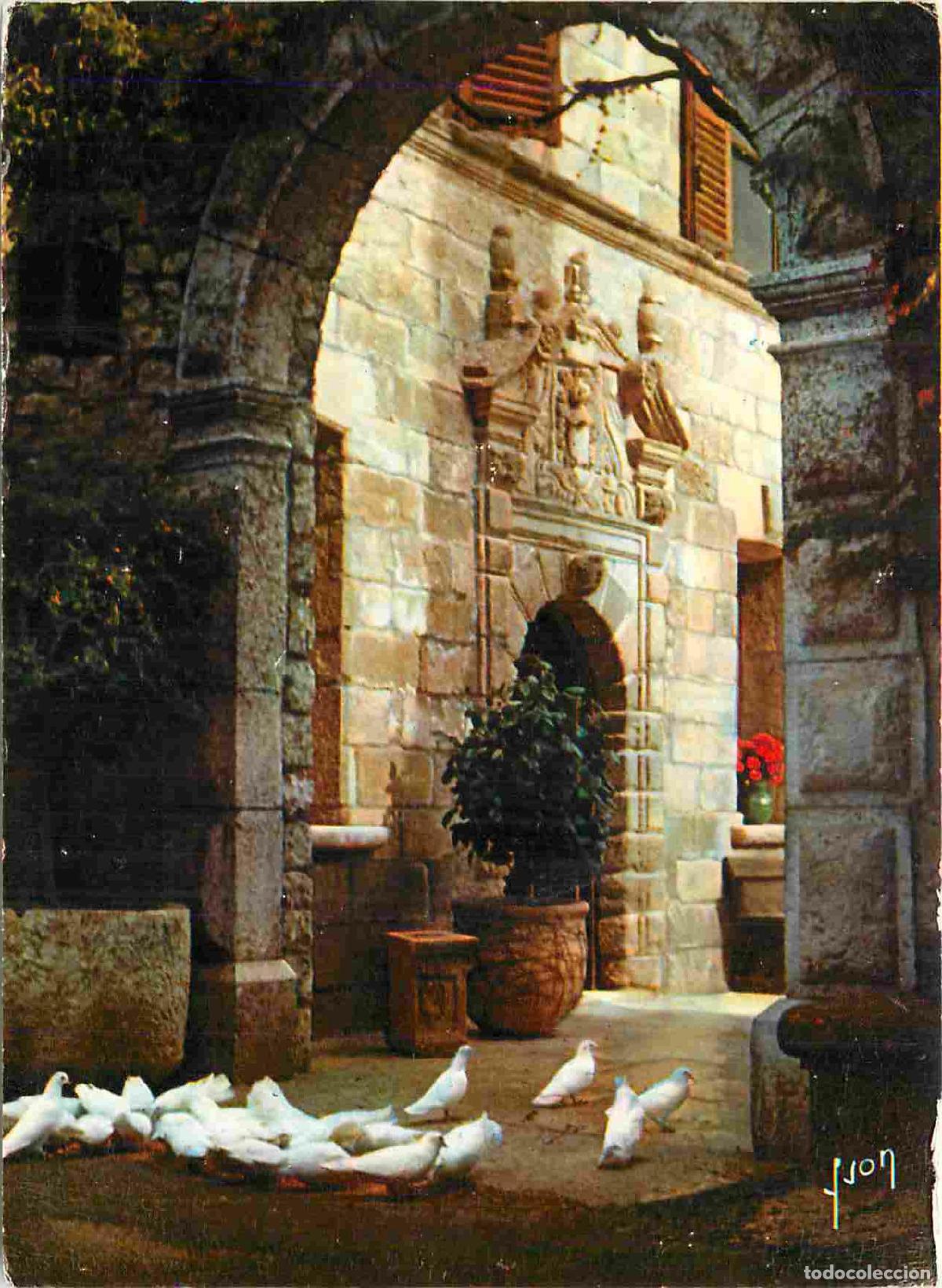 Postcards: Francia - Carte Postale - 06 - Saint-paul - Les colombes blanches de Saint-Paul - CPM - Voir Scans R