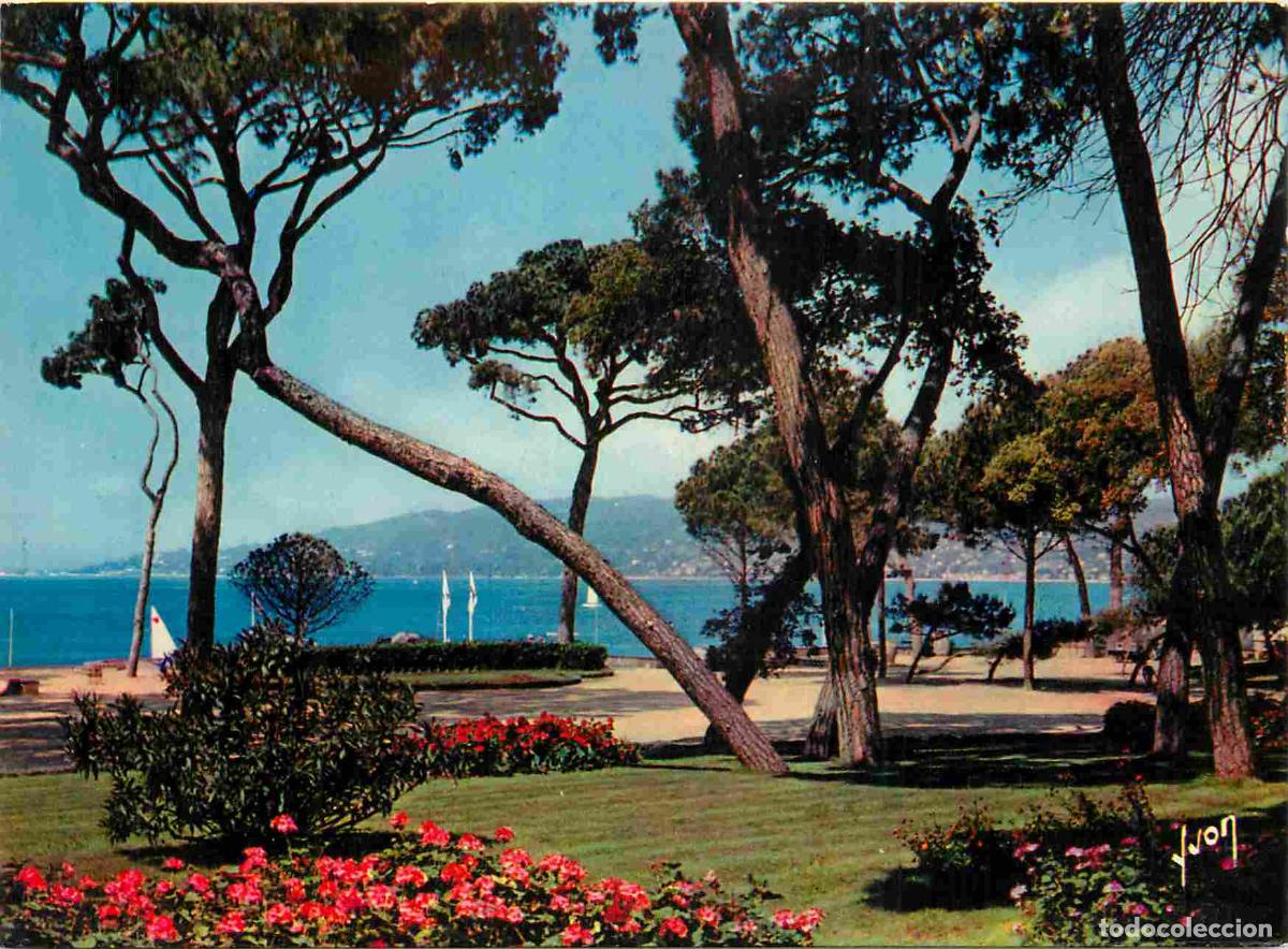 Postcards: Francia - Carte Postale - 06 - Juan-les-Pins - La pin&egrave;de - CPM - Voir Scans Recto-Verso