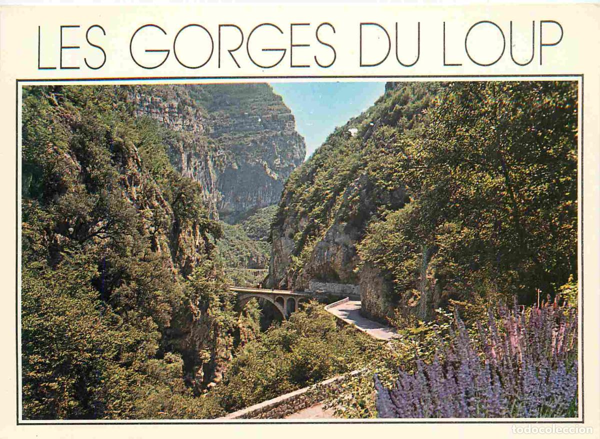 Cartoline: Francia - Carte Postale - 06 - Gourdon - La route au fond des gorges - le pont de l'ab&icirc;me - CPM - Vo