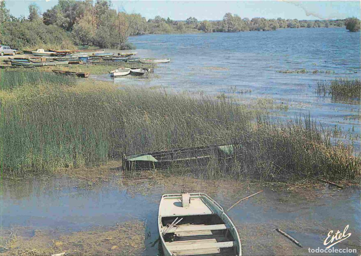Cartoline: Francia - Carte Postale - 10 - Lac de la for&ecirc;t d'orient - CPM - Voir Scans Recto-Verso
