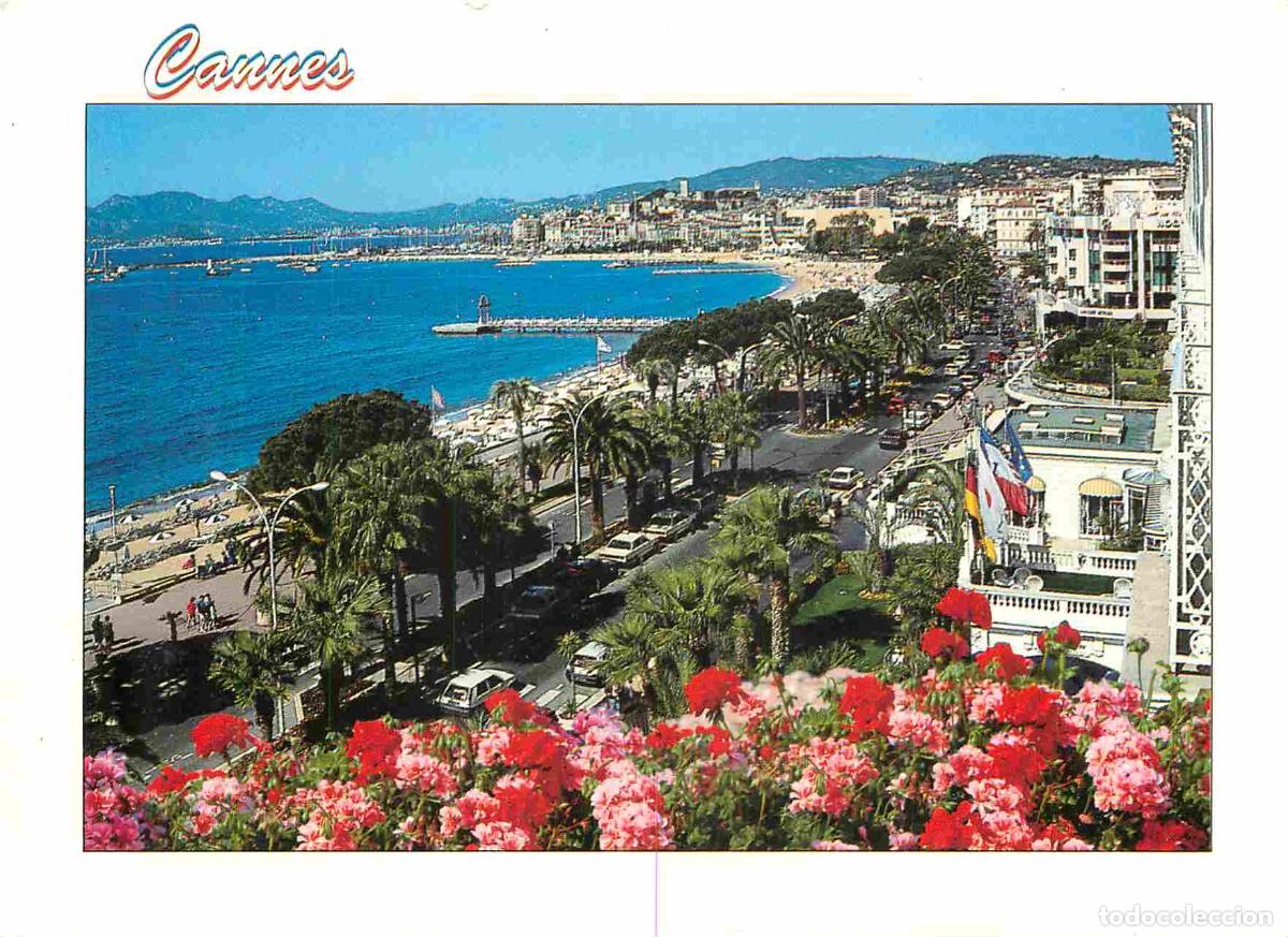 Cartes Postales: Francia - Carte Postale - 06 - Cannes - Vue g&eacute;n&eacute;rale - CPM - Voir Scans Recto-Verso