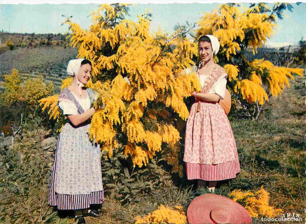 Postales: Francia - Carte Postale - 06 - Cannes - Academie proven&ccedil;ale de cannes - section de basse provence -