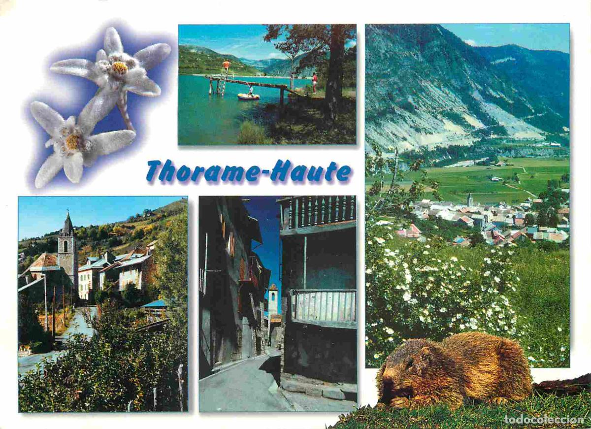 Postales: Francia - Carte Postale - 04 - Thorame-Haute - Multivues - Marmottes - CPM - Voir Scans Recto-Verso