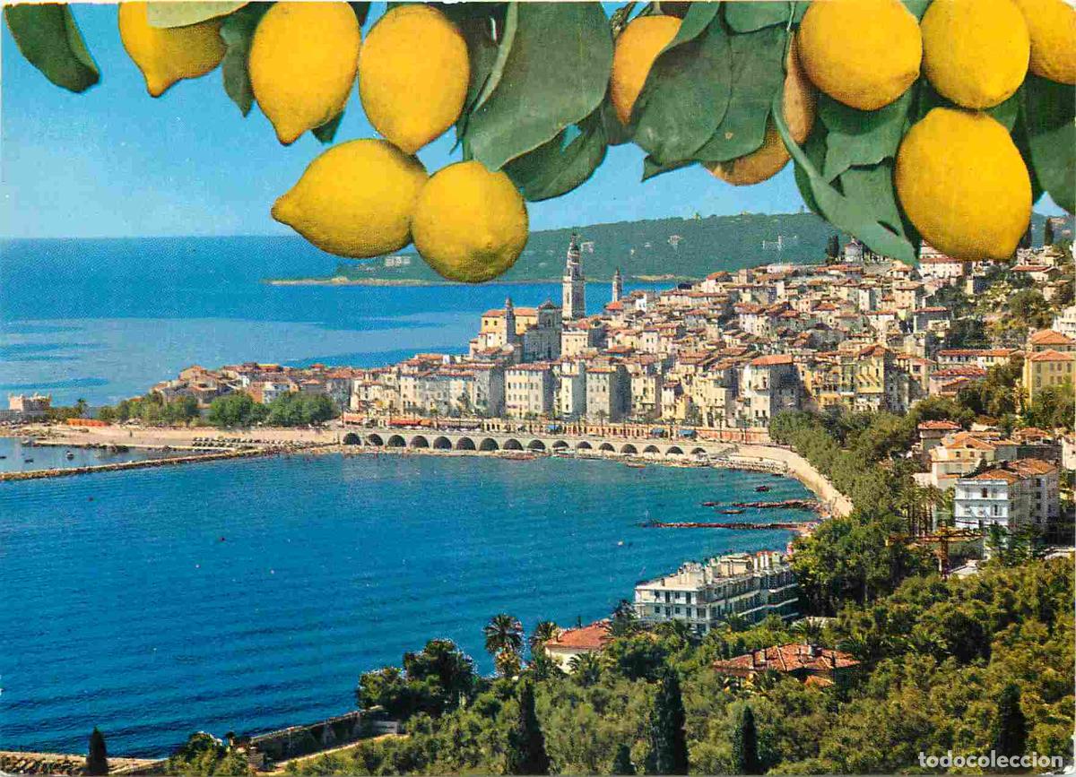 Postales: Francia - Carte Postale - 06 - Menton - Vue g&eacute;n&eacute;rale et le cap martin - Citrons - CPM - Voir Scans R