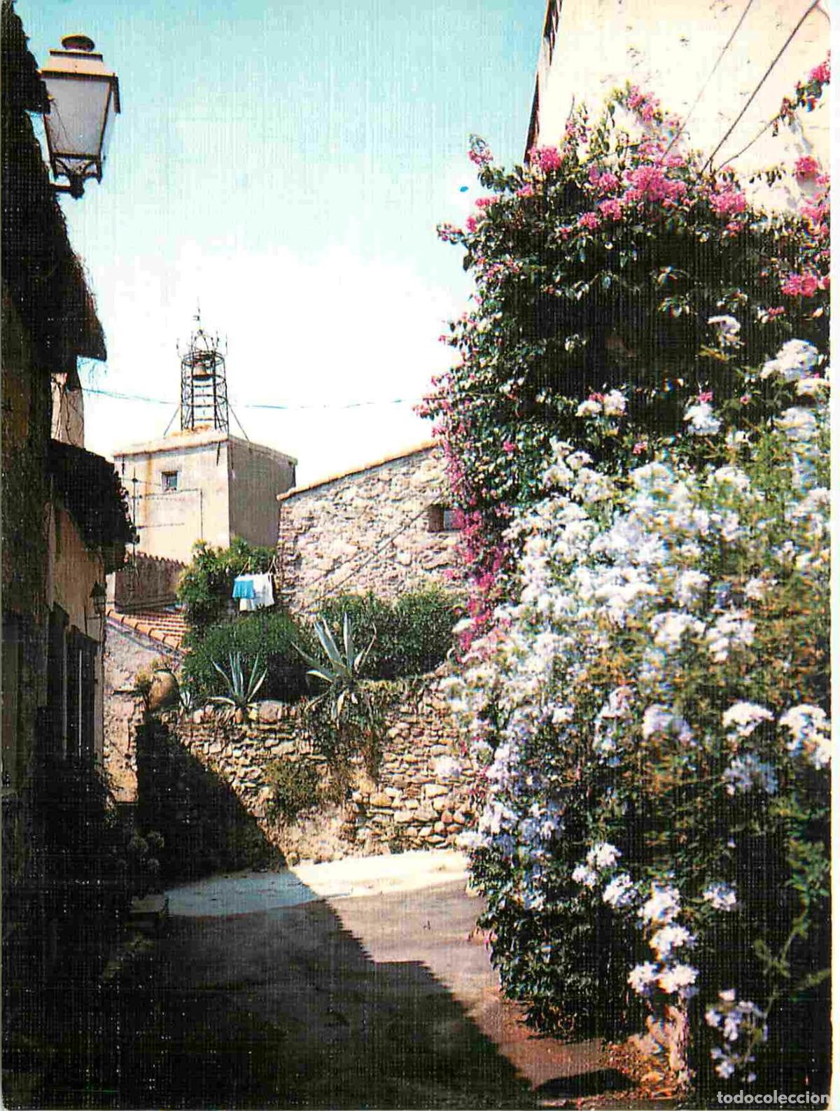 Cartes Postales: Francia - Carte Postale - 83 - Grimaud - Rue de la treille - Fleurs - CPM - Voir Scans Recto-Verso
