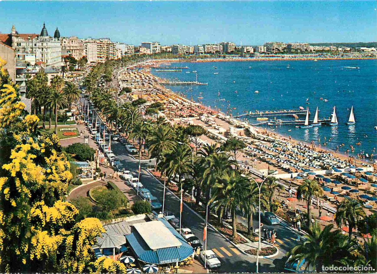 Cartes Postales: Francia - Carte Postale - 06 - Cannes - La promenade et la plage de la croisette - CPM - Voir Scans