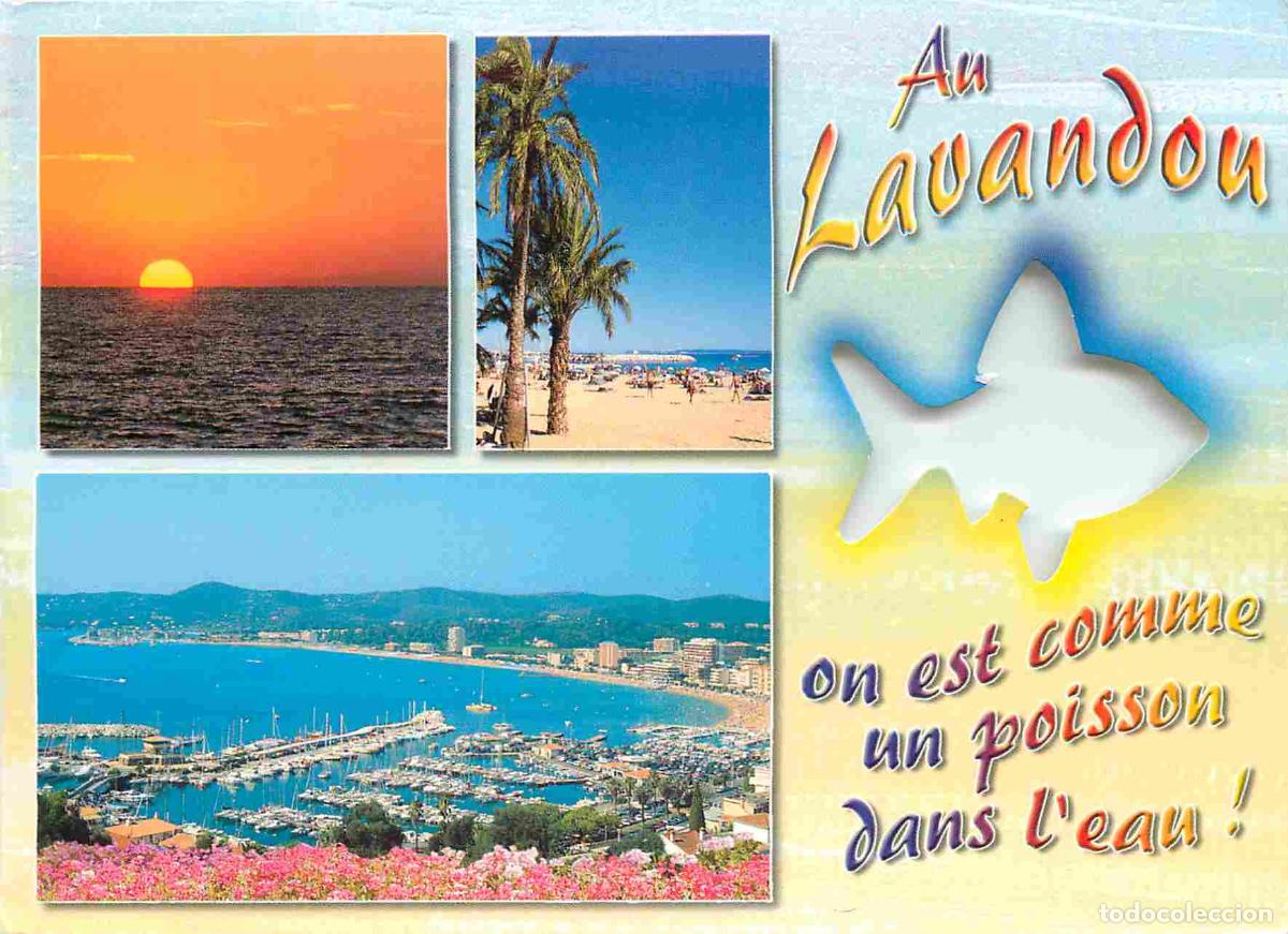 Cartes Postales: Francia - Carte Postale - 83 - Le Lavandou - Multivues - Au lavandou on est comme un poisson dans l