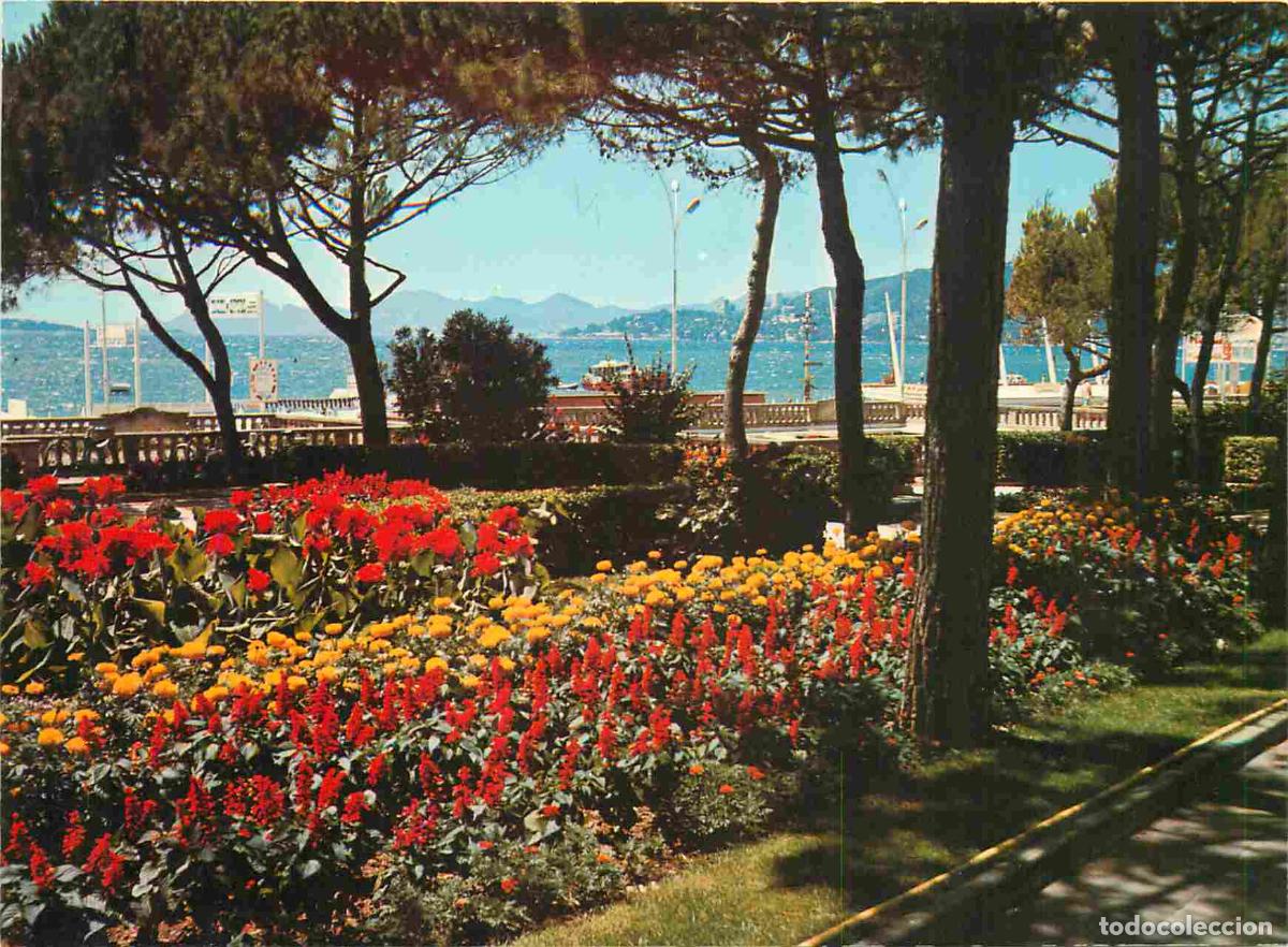 Cartes Postales: Francia - Carte Postale - 06 - Juan-les-pins - ses jardins fleuris - Fleurs - CPM - Voir Scans Recto