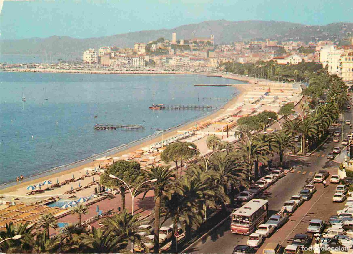 Cartes Postales: Francia - Carte Postale - 06 - Cannes - la croisette au fond le suquet - Automobiles - CPM - Voir Sc