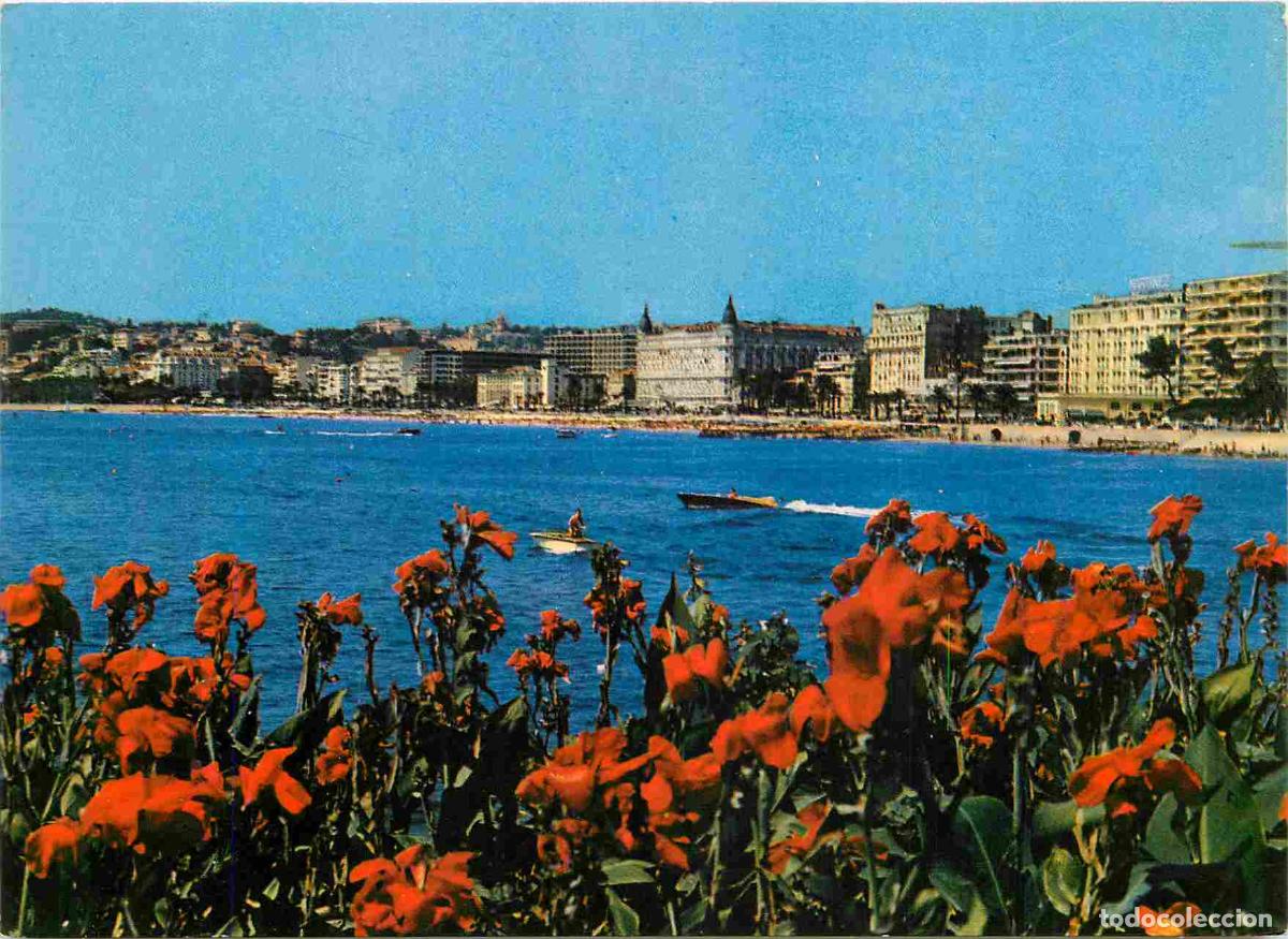 Postcards: Francia - Carte Postale - 06 - Cannes - Vue g&eacute;n&eacute;rale sur la croisette - CPM - Voir Scans Recto-Verso