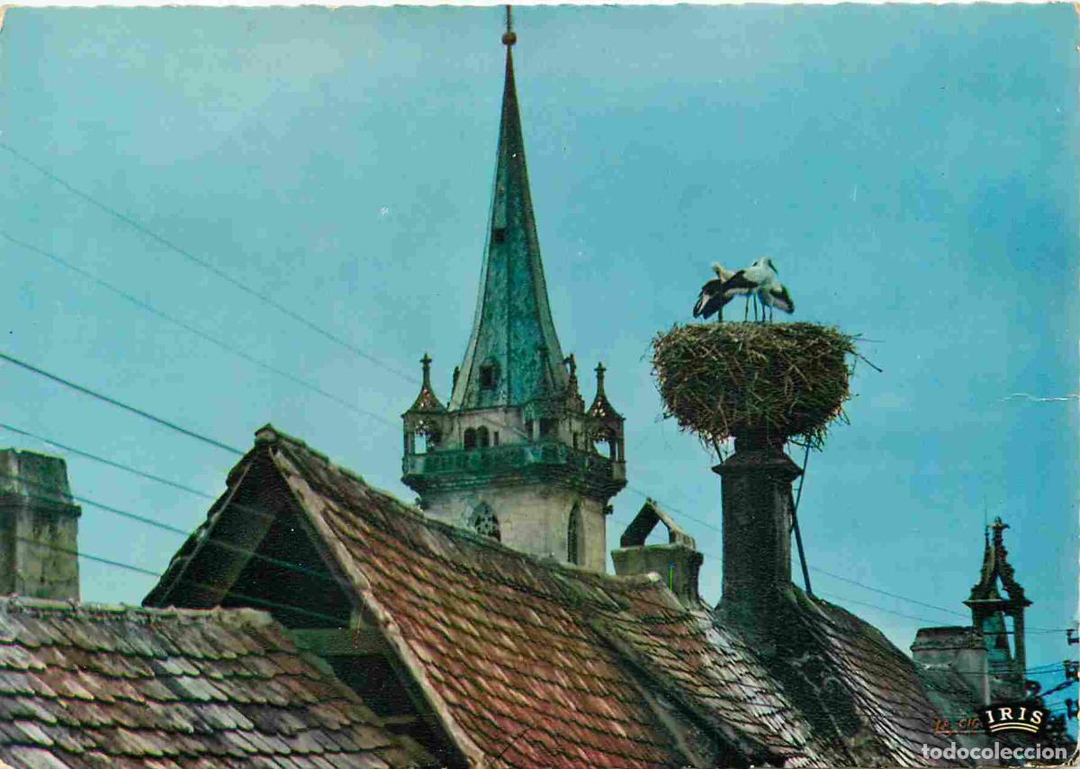 Postcards: Francia - Carte Postale - 67 - Obernai - Nid de cigognes - CPM - Voir Scans Recto-Verso