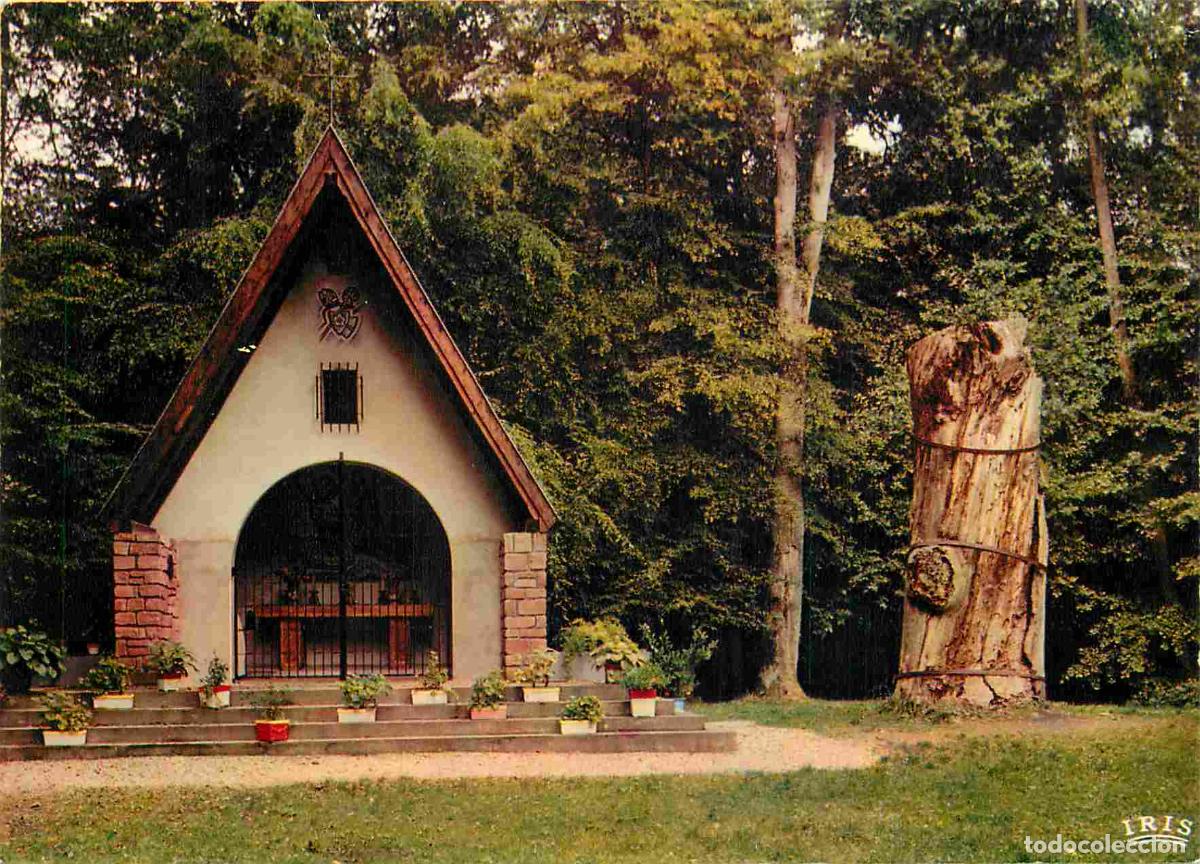 Postcards: Francia - Carte Postale - 67 - Haguenau - For&ecirc;t de Haguenau - Chapelle Saint-Arbogast et ch&ecirc;ne l&eacute;gen