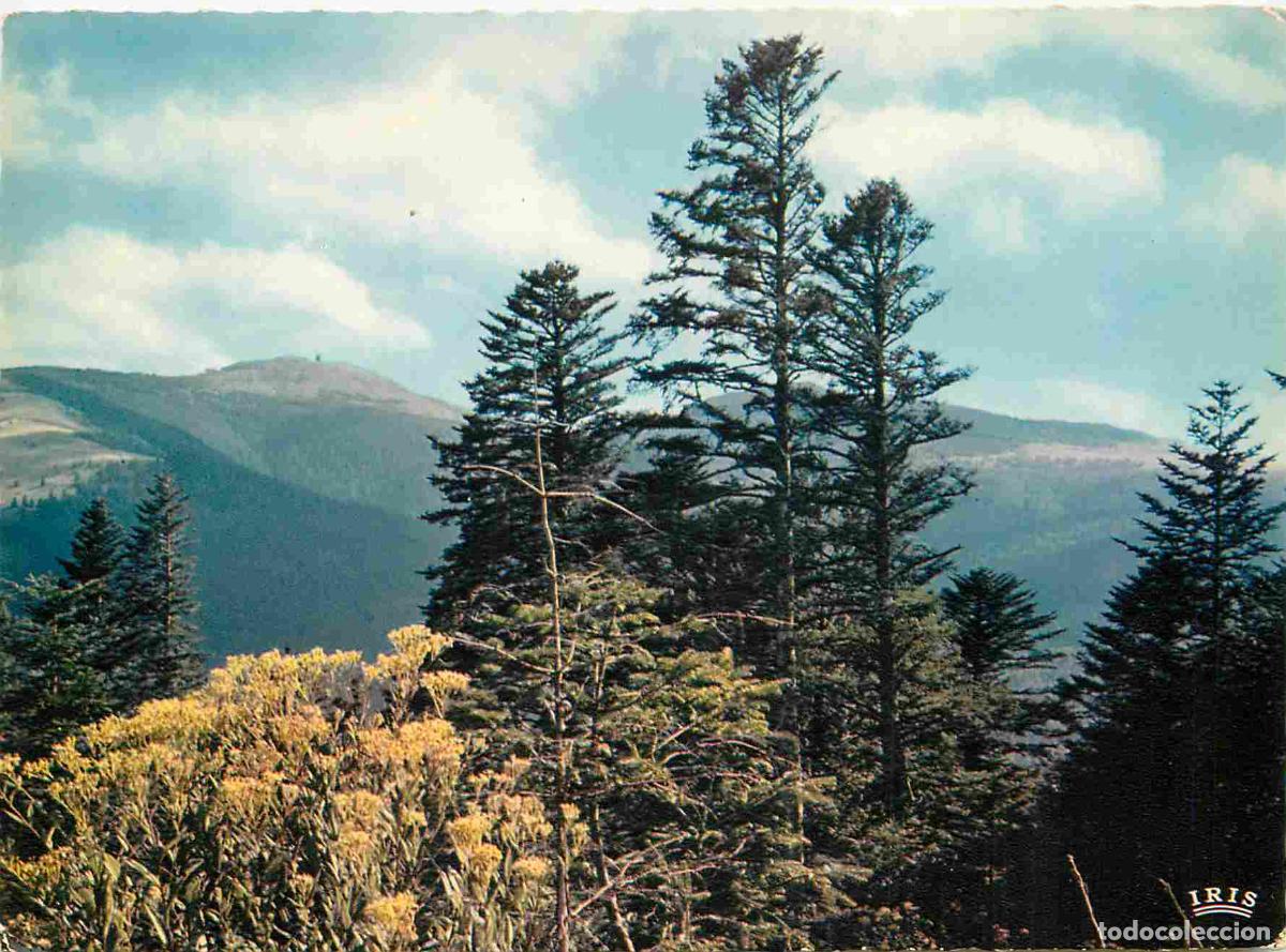Postcards: Francia - Carte Postale - 68 - Grand Ballon - Le sommet du grand-ballon altitude 1424 m - CPM - Voir