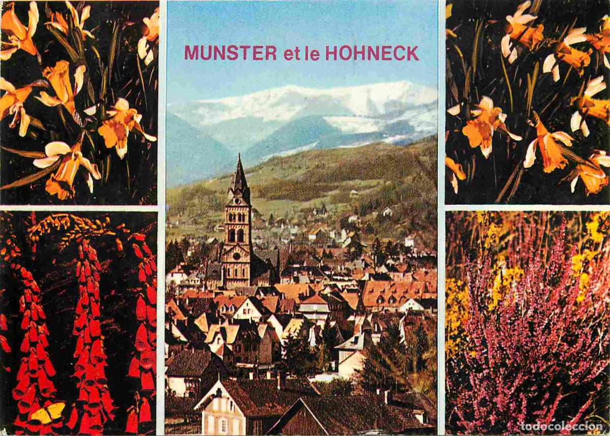 Postcards: Francia - Carte Postale - 68 - Munster - le hohneck - Multivues - au pied du massif du hohneck altit
