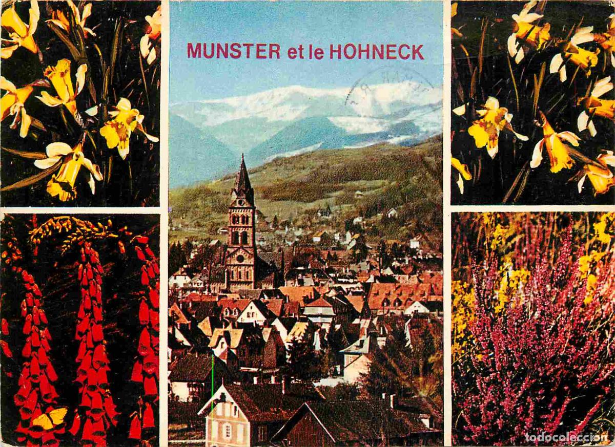 Postcards: Francia - Carte Postale - 68 - Munster - le hohneck - Multivues - Au pied du massif du hohneck altit