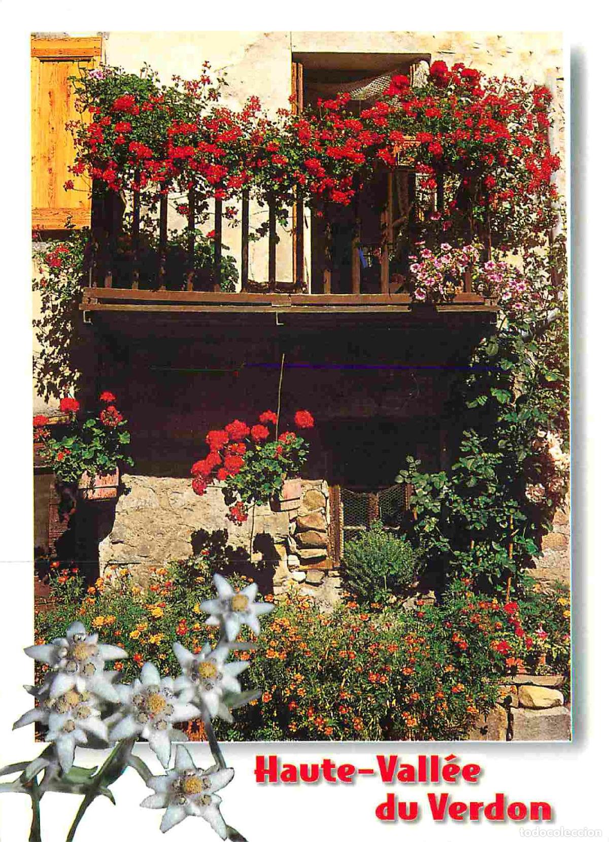 Postcards: Francia - Carte Postale - 04 - Haute-Vall&eacute;e du Verdon - Fleurs - CPM - Voir Scans Recto-Verso